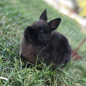 Meet your Posher, Chloe